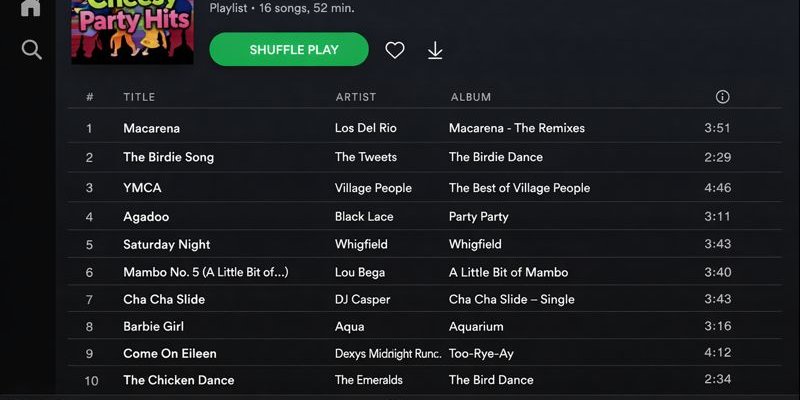 Professional DJ at wedding reception