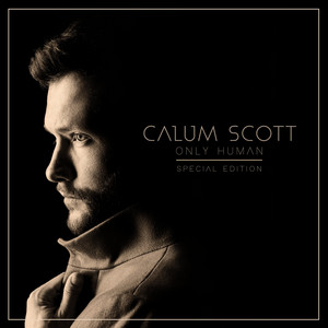 You Are The Reason - Duet Version album cover by Calum Scott, Leona Lewis