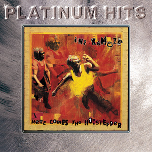 Here Comes The Hotstepper - Heartical Mix album cover by iNi Kamoze, Salaam Remi