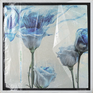 Conversations in the Dark album cover by John Legend